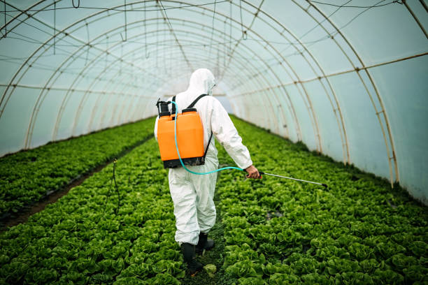 Best Commercial Pest Control Services  in St Cloud, FL