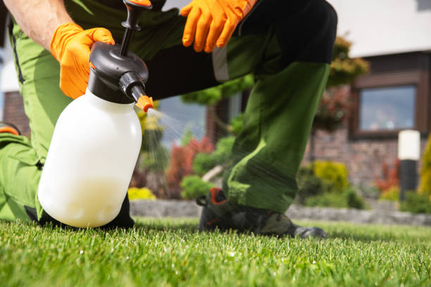 Best Commercial Pest Control Services  in St Cloud, FL