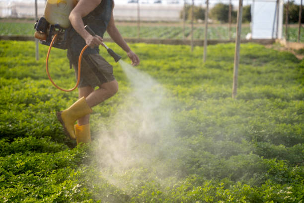Best Best Pest Control Companies  in St Cloud, FL