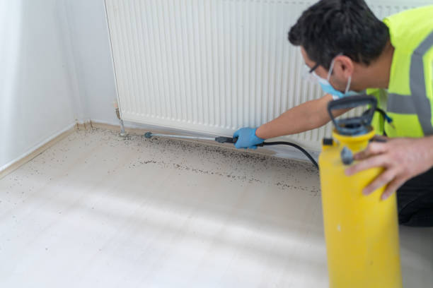 Best Cockroach Control Services  in St Cloud, FL