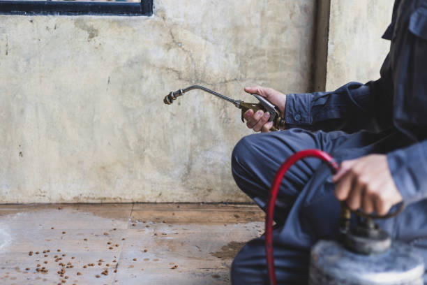 Trusted St Cloud, FL Pest Control Experts